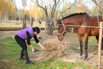Middle Aged Woman Feeding Hay to Horse Behind Fence © Zelma