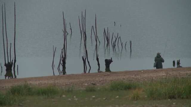 P&eacute;cheur dans lac avec arbre mort