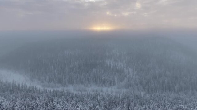 Aerial view of frosted evergreens blanketed in snow, casting long shadows on a cold winter day, Ruka, Pohjois-Pohjanmaa, Finland.