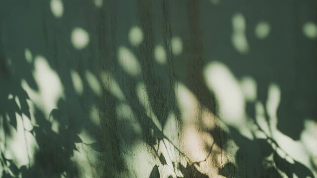 Organic leafy shadows and soft sunlit reflections cast an abstract, tranquil pattern on a textured surface, evoking calm, nature inspired minimalism and fresh seasonal warmth