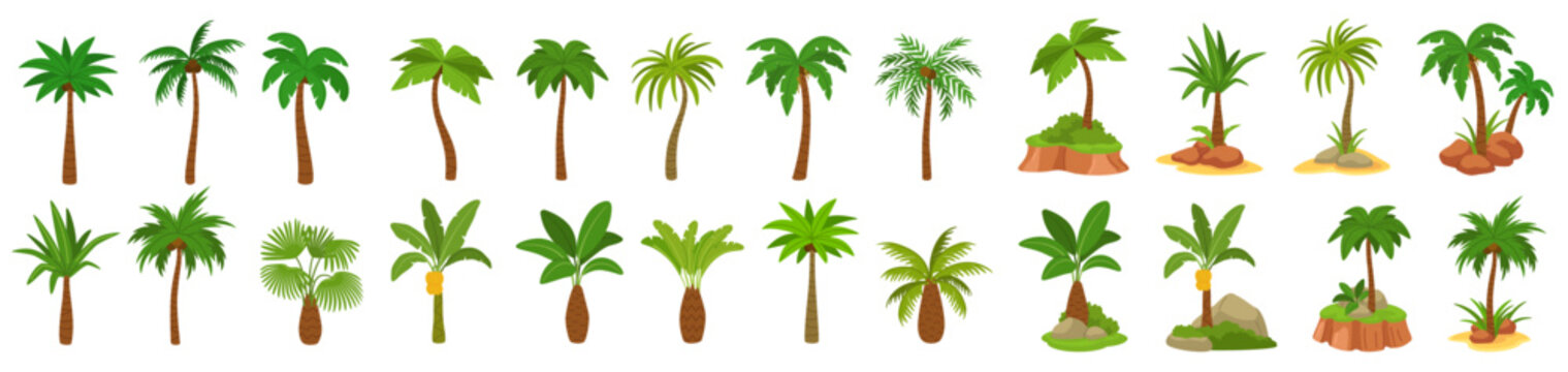 Cartoon palm tree. Tropical beach tree, coconut and island jungle plant. Flat grass with palm tree leaves clipart and coco exotic element. Green Hawaii foliage, Miami plants. Vector isolated set