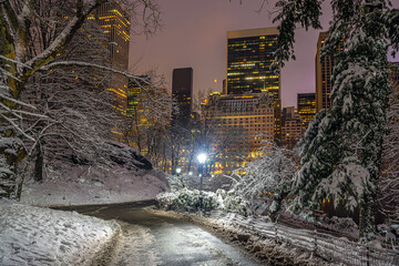 Naklejka premium Central Park in winter , during snowstorm
