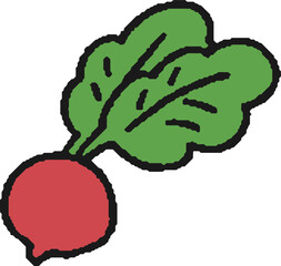 赤カブ/ラディッシュの手描きイラスト