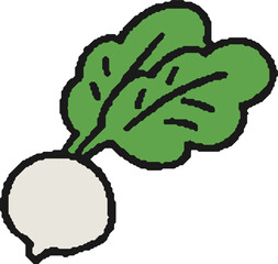 カブの手描きイラスト