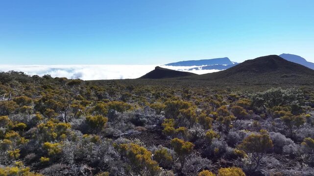 Aerial view of the contrasting terrain of vegetation and mountain peaks, with a cloudscape horizon, Saint Benoit, Canton de Saint-Benoit-2, Reunion.