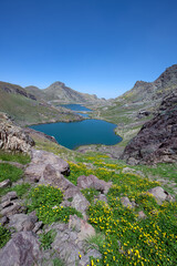 A lake in the mountains, natural scenery, green meadows, snow-capped mountains, blue sky, winter season. Lake views in bloom in spring. Hakkari Cilo Sat Lakes. A lake view in the mountains. 