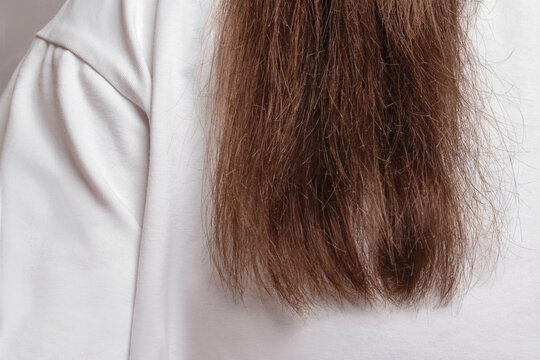 Caucasian woman hair is badly damaged at the ends of her hair. Cut, dry hair. Hair requires care, hydration. Close up, cropped photo