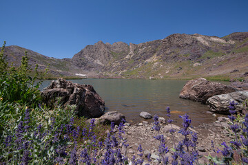A lake in the mountains, natural scenery, green meadows, snow-capped mountains, blue sky, winter season. Lake views in bloom in spring. Hakkari Cilo Sat Lakes. A lake view in the mountains. 