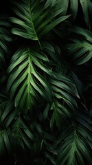 Fototapeta premium Tropical leaves wallpaper outdoors tropics nature.
