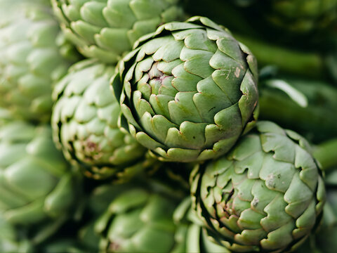 Alcachofas frescas con Denominaci&oacute;n de Origen Protegida Benicarl&oacute; amontonadas en el mercado, hortalizas de temporada de Espa&ntilde;a