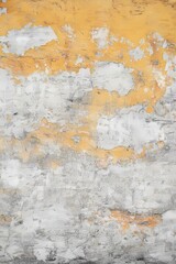 Obraz premium Aged Paint Erosion on Durable Concrete Surface Creates Gritty Visual Interest and Unique Patterns