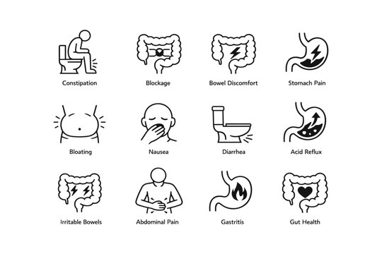 Digestive health icons: constipation, bloating, diarrhea, stomach pain symptoms