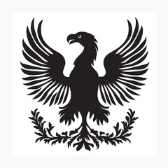 Obraz premium eagle with wings