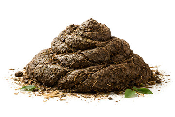 Cow Dung on White Background &ndash; Natural Organic Fertilizer and Eco Agriculture Concept