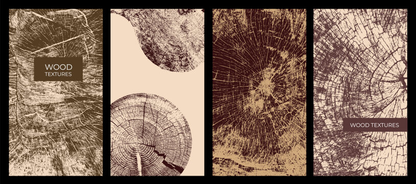 Set of posters with tree trunk cross sections and growth rings. Botanical wood texture vector illustration for menus, booklets, covers, flyers, backgrounds and eco design.