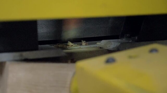 d&eacute;coupe de bois