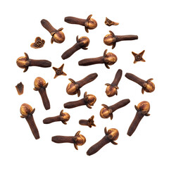 Clove spice on white background