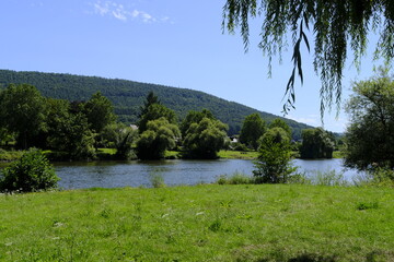 Obraz premium Am Main bei Stadtprozelten, Landkreis Miltenberg, Unterfranken, Franken, Bayern, Deutschland