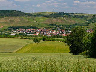 Blick vom Schwarzkiefernwald auf dem&nbsp;Volkenberg bei Erlabrunn am Main in die Mainebene und den Weinort Th&uuml;ngersheim, Landkreis W&uuml;rzburg, Unterfranken, Franken, Bayern, Deutschland