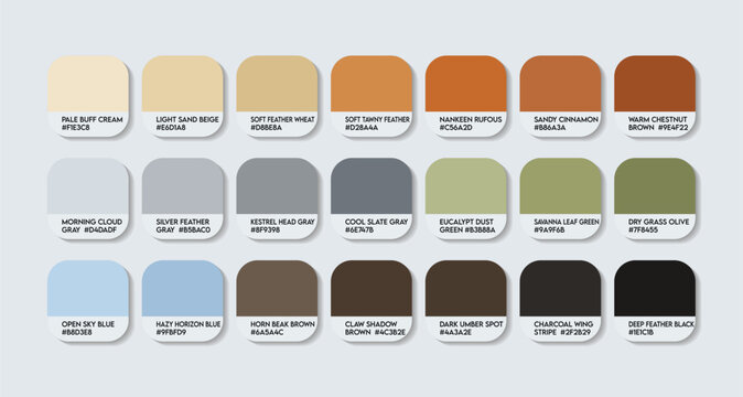 Nankeen Kestrel colors bird Color Palette with HEX Codes. Falco cenchroides color Palette with names. back brown orange mix green animal colour tone switch. Orange with nature vibe mixed color shades