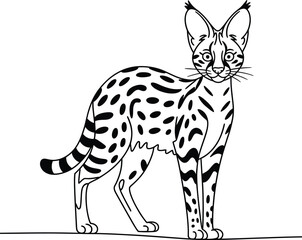 Fototapeta premium Black and white spotted cat standing on a line