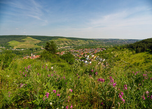 Blick vom Schwarzkiefernwald auf dem&nbsp;Volkenberg nach Erlabrunn am Main, Landkreis W&uuml;rzburg, Unterfranken, Franken, Bayern, Deutschland