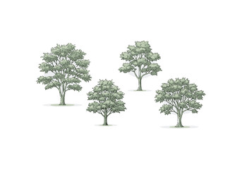 Four trees in a row Vector