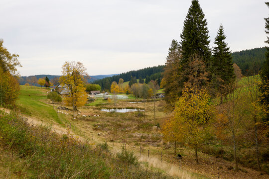 The Breg Spring is considered the source of the Danube