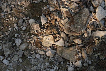 Top view of rough stony ground texture with small pebbles and dry moss under natural sunlight
