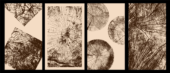 Set of wooden textures with eco concept. Tree trunk annual rings, concentric circles and walnut wood patterns. Vector templates and banners with wood section stamps for natural design. © Anatoliy