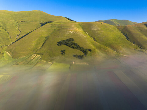 Aerial view of rolling green hills adorned with a dark green tree formation in the shape of Italy, partially veiled by a soft, ethereal mist, Castelluccio, Umbria, Italy.