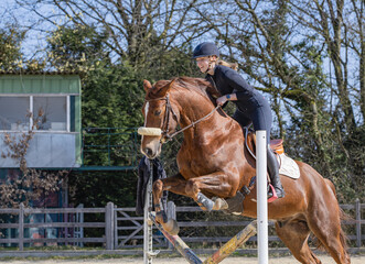Obraz premium junge Frau auf Fuchs mit langer Blesse reitet mit deutlicher Freude im Frühjahr auf dem Reitplatz harmonisch über ein kleines Kreuz