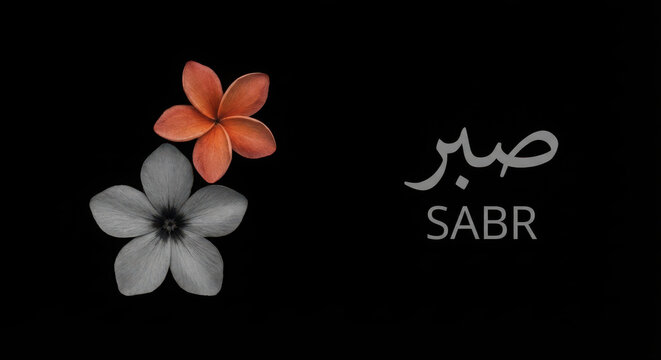 Sabr arabic calligraphy patience word floral element monochrome and colored flowers black
