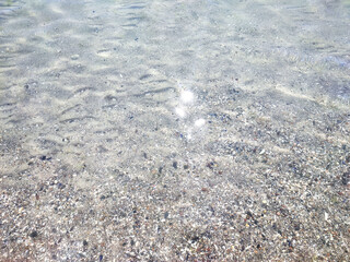Clean transparent water on shallow sandy seashore with shells with shells on sunny summer day. Sun glare on surface of water. Small waves on sea coast. Nature backdrop. Natural background