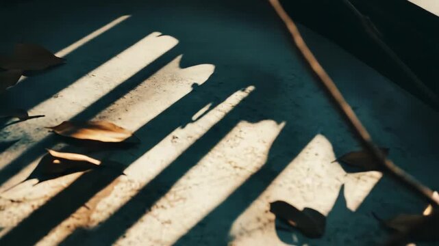 Sunlight creating strong parallel shadows across a rough ground surface, highlighting scattered dry leaves and twigs with contrasting light and dark areas