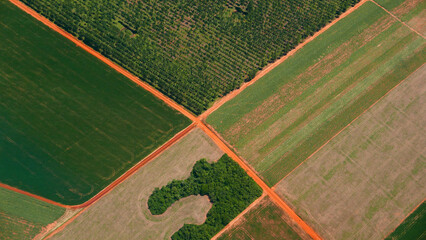 Aerial view showing geometric patchwork of agricultural fields © Cesar Gallardo