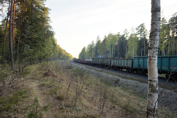 Freight train moving along tracks through forest in evening light