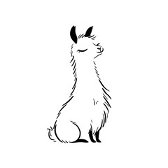 Obraz premium llama. llama simple black and white line art vector logo