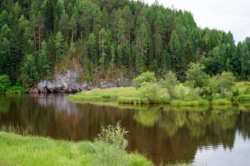 Obraz premium Calm summer river flowing through forest valley with grassy banks