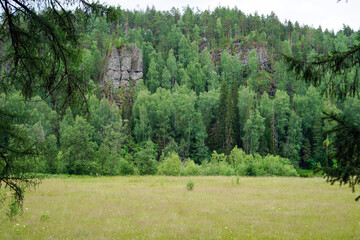 Grassy summer clearing facing rocky forest ridge and cliffs