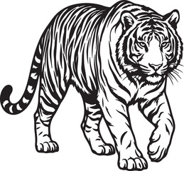 Fototapeta premium Black and white line art illustration of a walking tiger in profile view