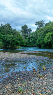 A riffle and sandbar on a mountain stream, pebble shoal on Mount Kinabalu, Borneo. Tropical floodplain forest, stone-mud flat. Monsoon season, after pluvial period
