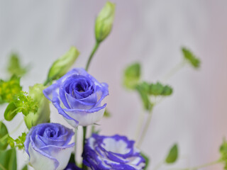 色鮮やかなトルコギキョウ