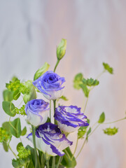 色鮮やかなトルコギキョウ