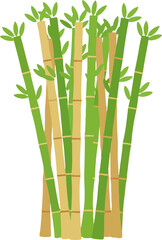 Obraz premium Green and Yellow Bamboo Stalks Clump Illustration Isolated