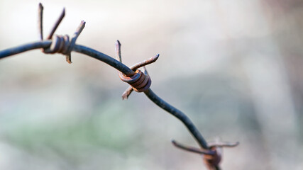 old barbed wire. restricted area, fence, prohibited passage. barbed wire since the war. old rusty iron. rusty grungy old metal texture for use as a background. close-up. place for text