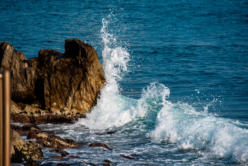 Fototapeta premium 일어서는 거센 파도