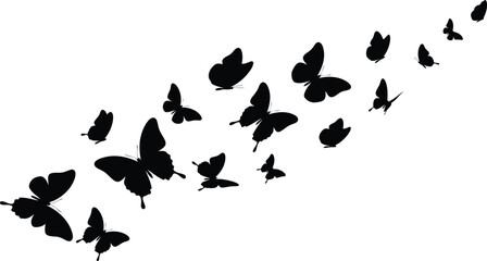 Obraz premium A flock of butterflies flying together in a diagonal line from bottom left to top right viewpoint