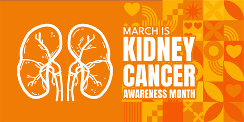 Kidney cancer awareness month banner with white kidneys line art and orange geometric pattern, vector illustration