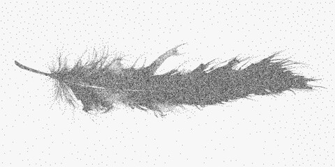 Fototapeta premium Elegant feather illustration with delicate stipple grain, subtle dust and light speckle overlay creating a refined vintage texture on the soft curves.